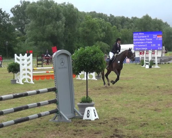 Reitturnier Bad Pyrmont 2018