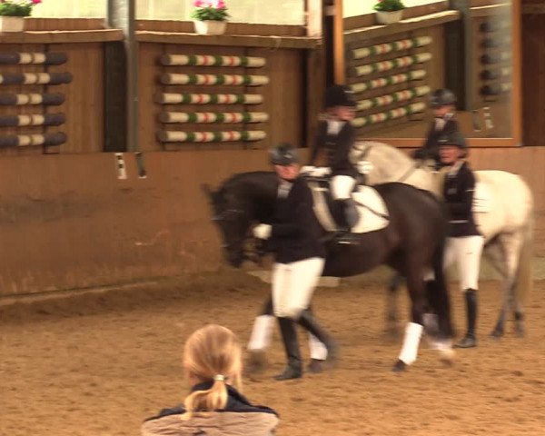 Reitturnier Schwerte-Gut Kückshausen 2018