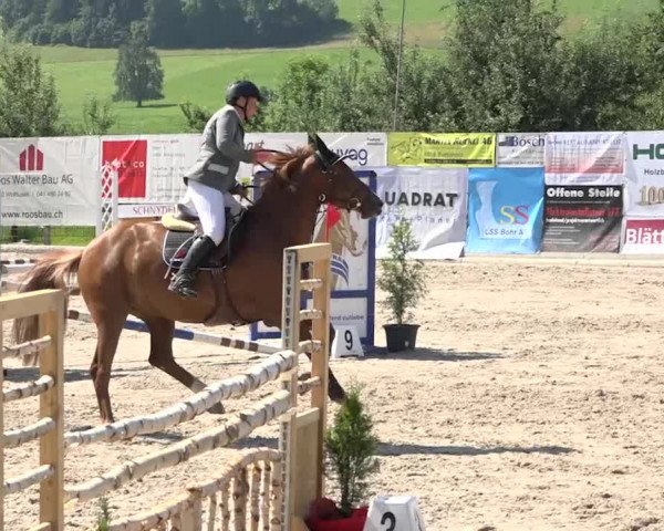 Rottaler Pferdesporttage Buholz 2018