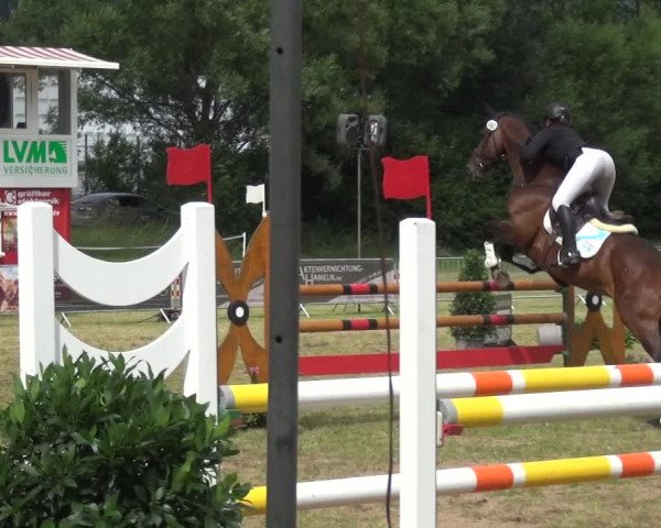 Reitturnier Bad Pyrmont 2018