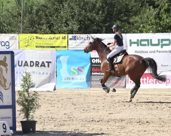 Rottaler Pferdesporttage Buholz 2018