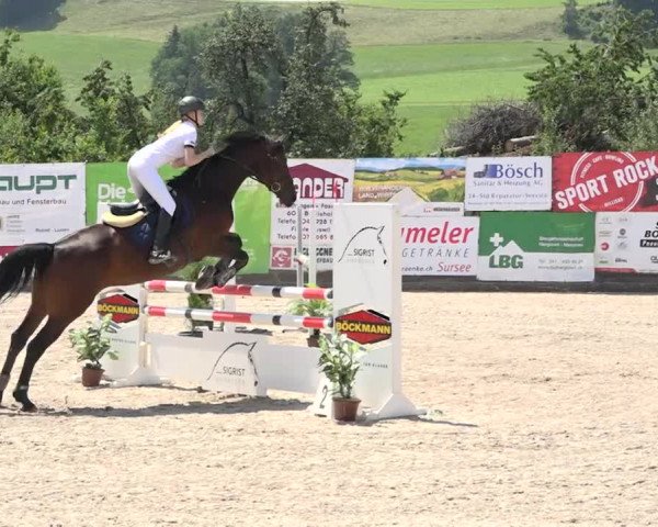 Rottaler Pferdesporttage Buholz 2018