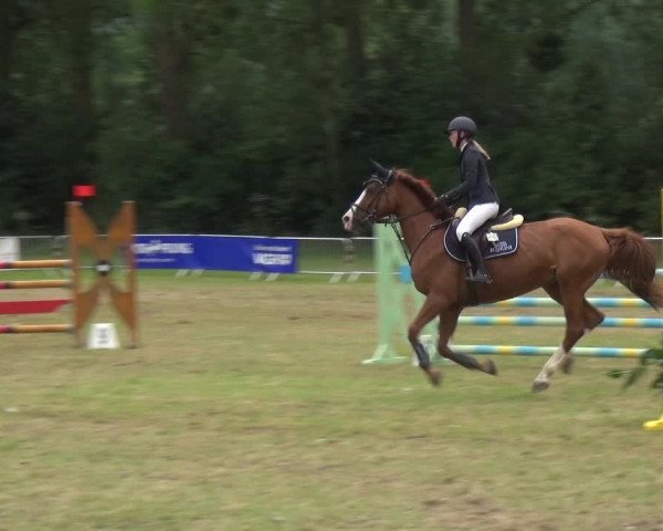 Reitturnier Bad Pyrmont 2018