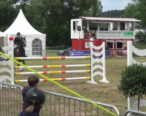 Reitturnier Bad Pyrmont 2018