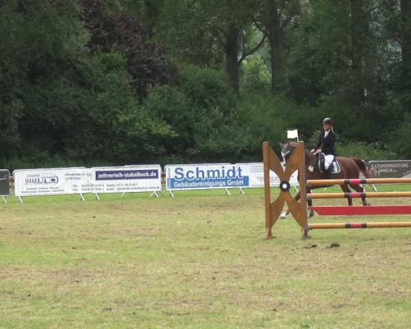 Reitturnier Bad Pyrmont 2018