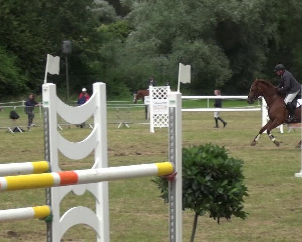 Reitturnier Bad Pyrmont 2018