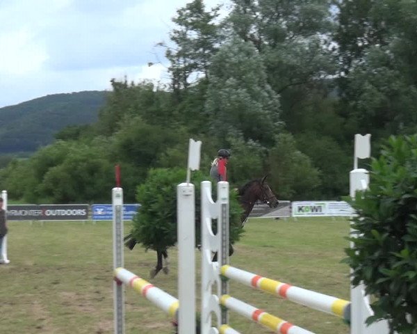 Reitturnier Bad Pyrmont 2018