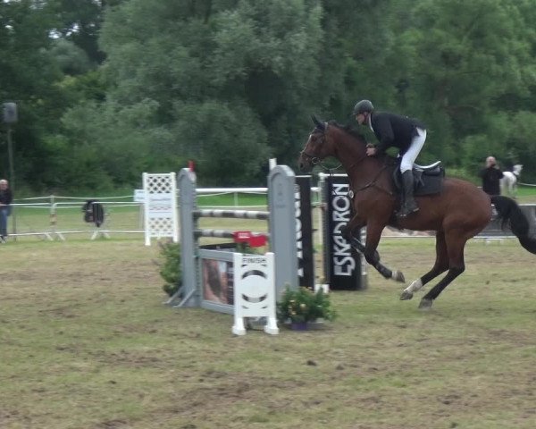 Reitturnier Bad Pyrmont 2018