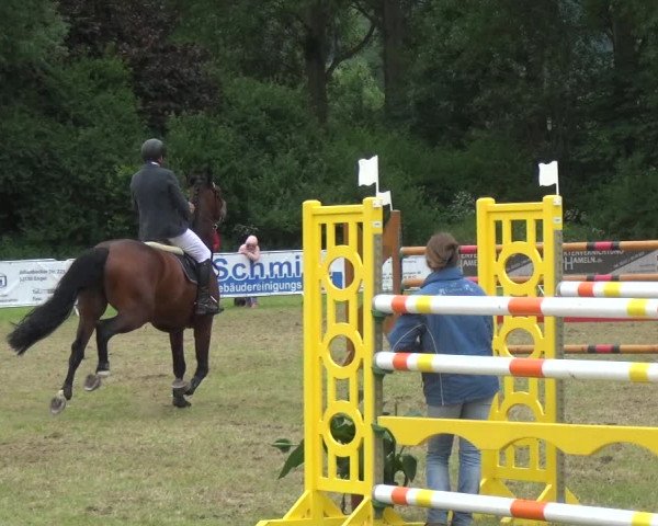 Reitturnier Bad Pyrmont 2018
