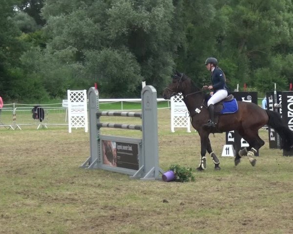 Reitturnier Bad Pyrmont 2018