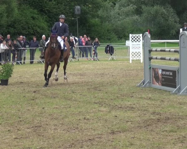 Reitturnier Bad Pyrmont 2018