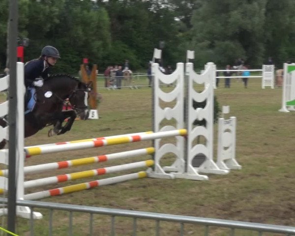 Reitturnier Bad Pyrmont 2018