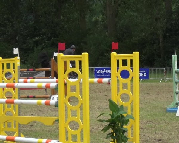 Reitturnier Bad Pyrmont 2018