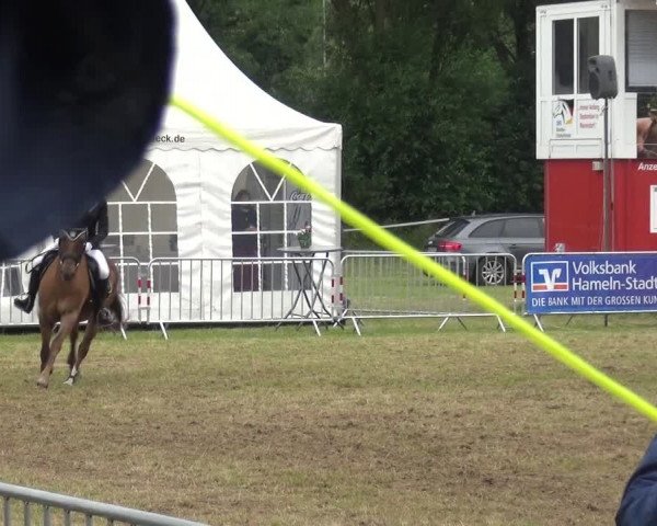 Reitturnier Bad Pyrmont 2018