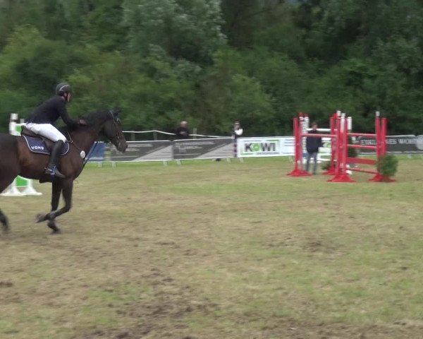 Reitturnier Bad Pyrmont 2018