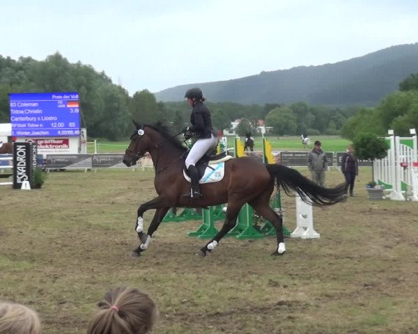 Reitturnier Bad Pyrmont 2018