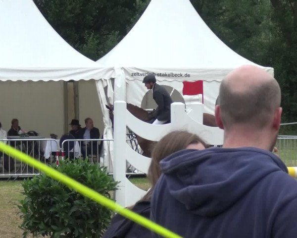 Reitturnier Bad Pyrmont 2018