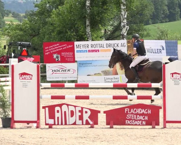 Rottaler Pferdesporttage Buholz 2018