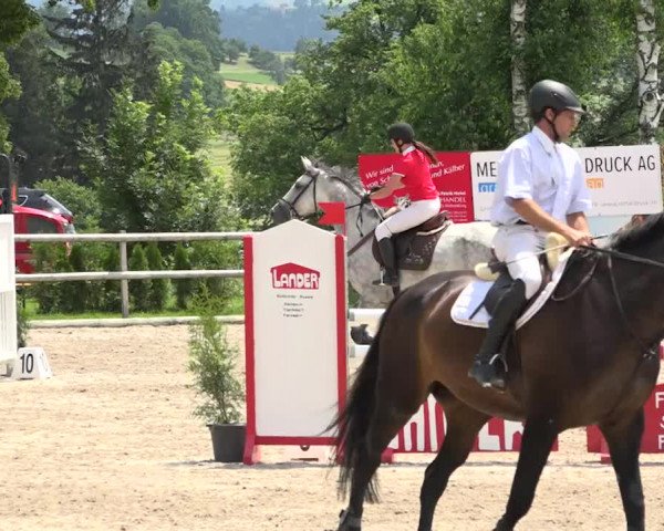 Rottaler Pferdesporttage Buholz 2018