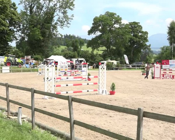 Rottaler Pferdesporttage Buholz 2018