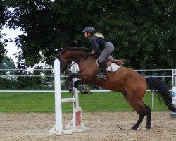 jumper Cacau FF (Holsteiner, 2013, from Canturat)