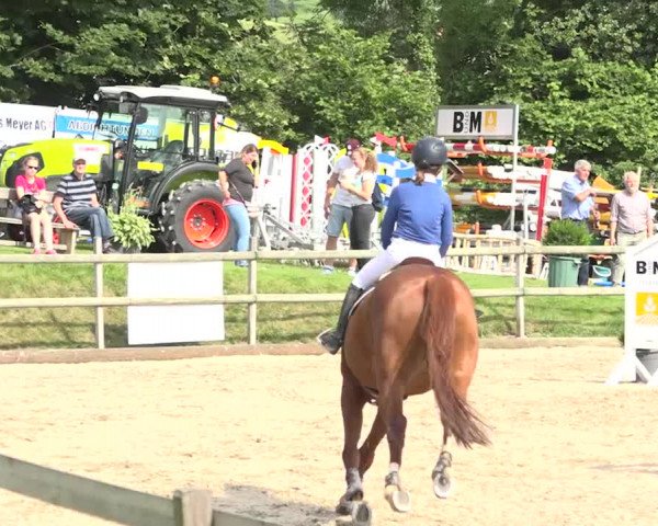 Rottaler Pferdesporttage Buholz 2018