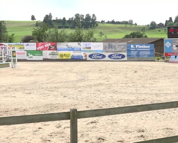 Rottaler Pferdesporttage Buholz 2018