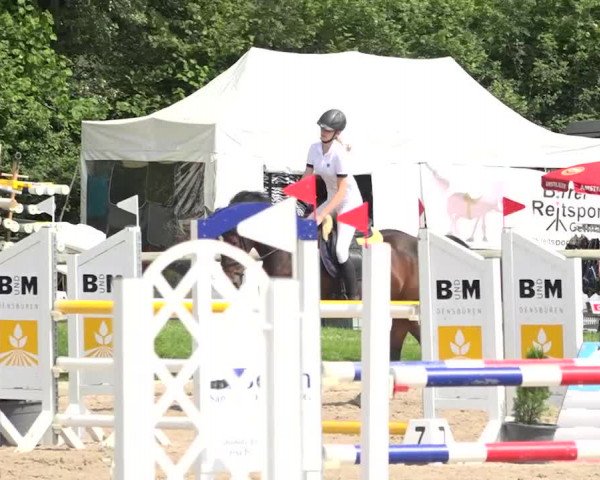 Rottaler Pferdesporttage Buholz 2018