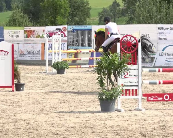 Rottaler Pferdesporttage Buholz 2018