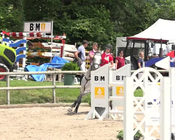Rottaler Pferdesporttage Buholz 2018