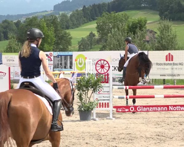 Rottaler Pferdesporttage Buholz 2018