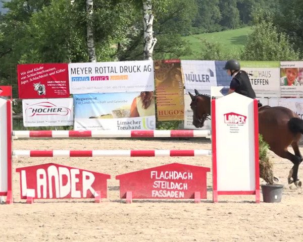 Rottaler Pferdesporttage Buholz 2018