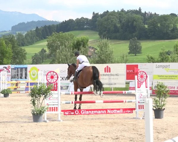 Rottaler Pferdesporttage Buholz 2018