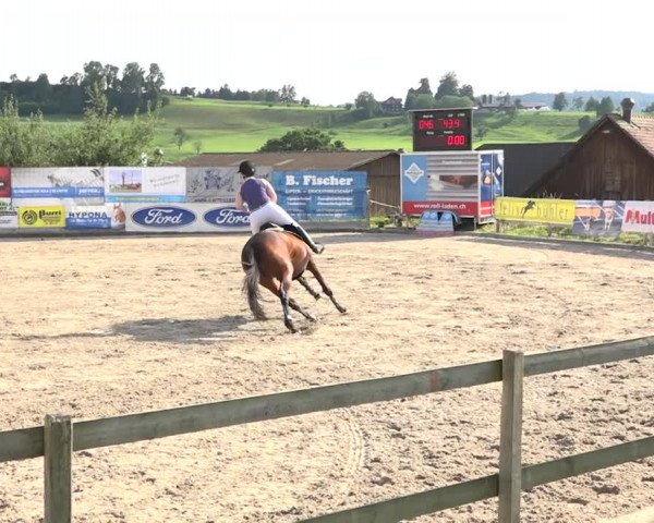 Rottaler Pferdesporttage Buholz 2018