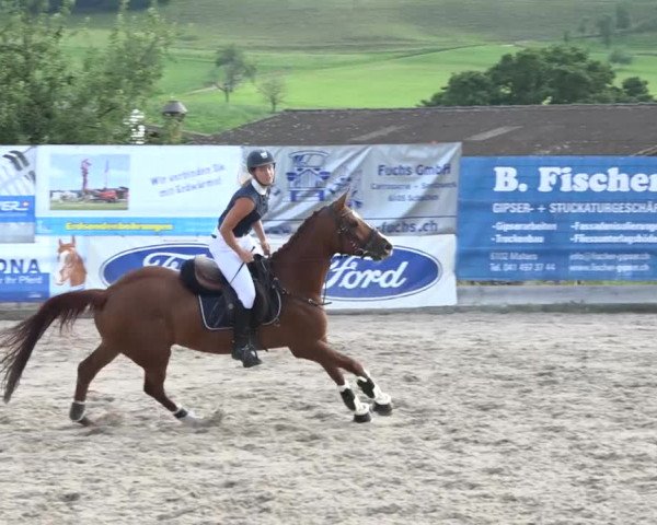Rottaler Pferdesporttage Buholz 2018