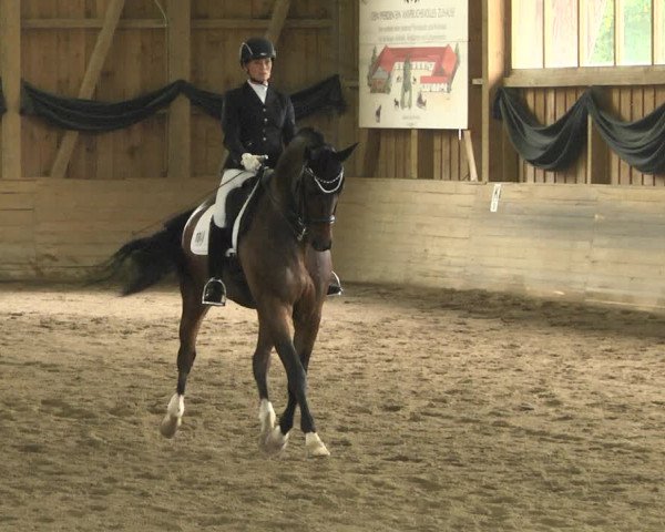 Reitturnier Pellheim-Gerblhof 2018