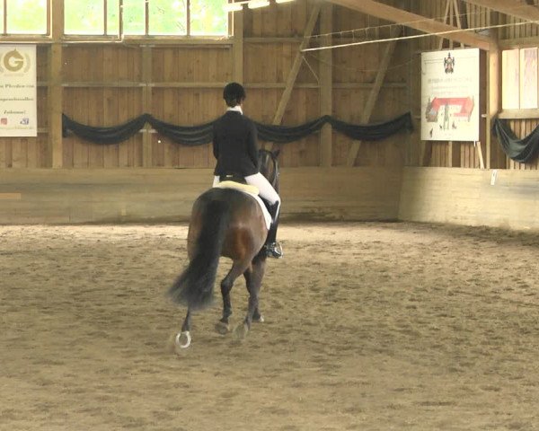 Reitturnier Pellheim-Gerblhof 2018