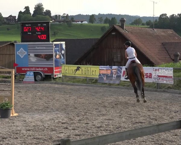 Rottaler Pferdesporttage Buholz 2018