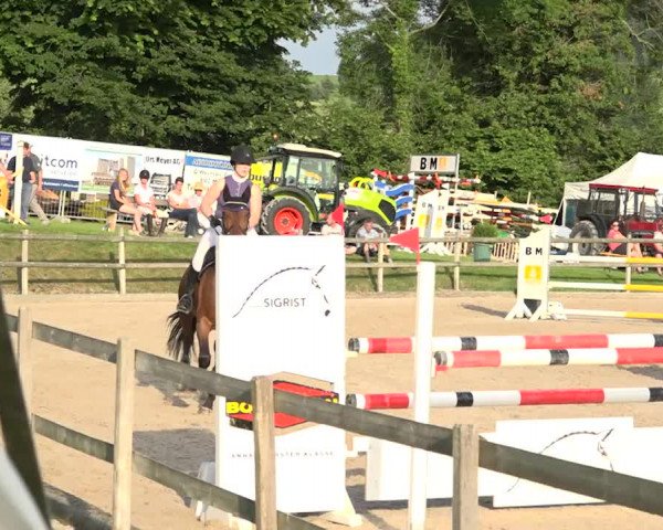 Rottaler Pferdesporttage Buholz 2018