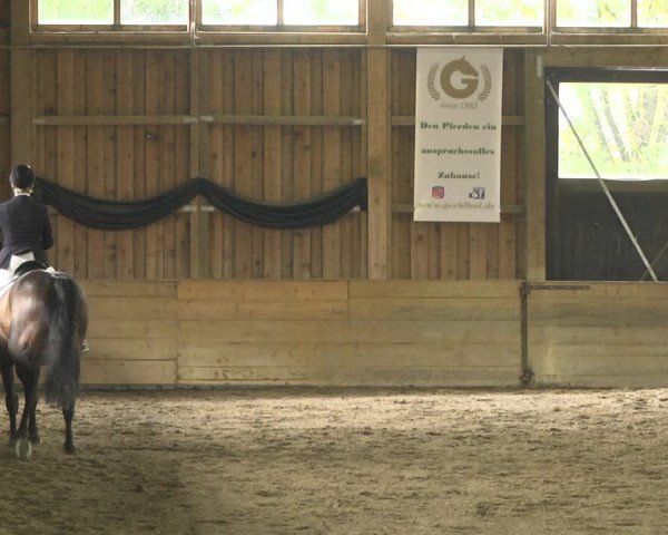 Reitturnier Pellheim-Gerblhof 2018