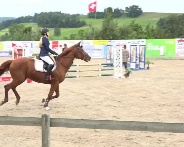 Rottaler Pferdesporttage Buholz 2018