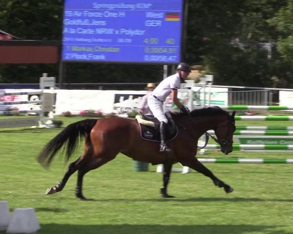 Reitturnier Delbrück-Ostenland 2018