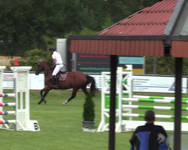 Reitturnier Delbrück-Ostenland 2018