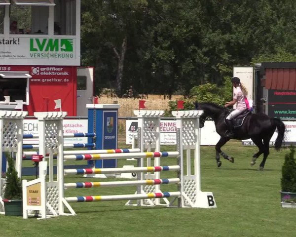 Reitturnier Delbrück-Ostenland 2018