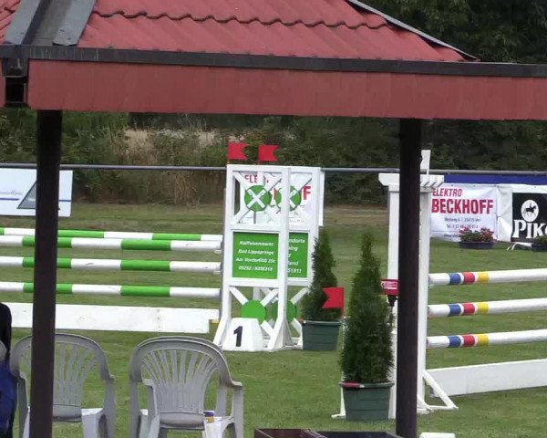 Reitturnier Delbrück-Ostenland 2018