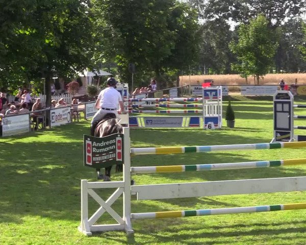 Reitturnier Delbrück-Ostenland 2018