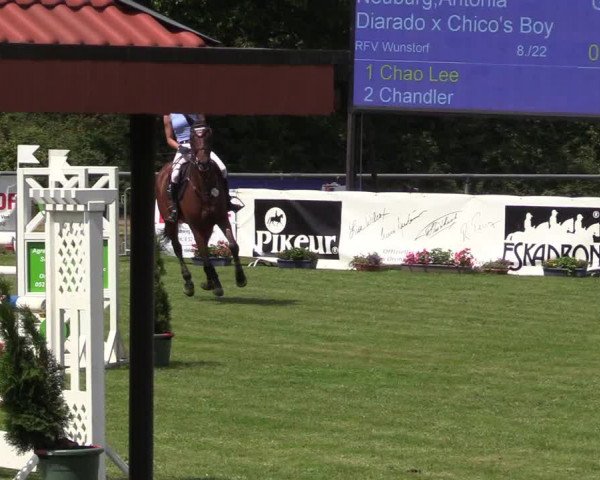 Reitturnier Delbrück-Ostenland 2018