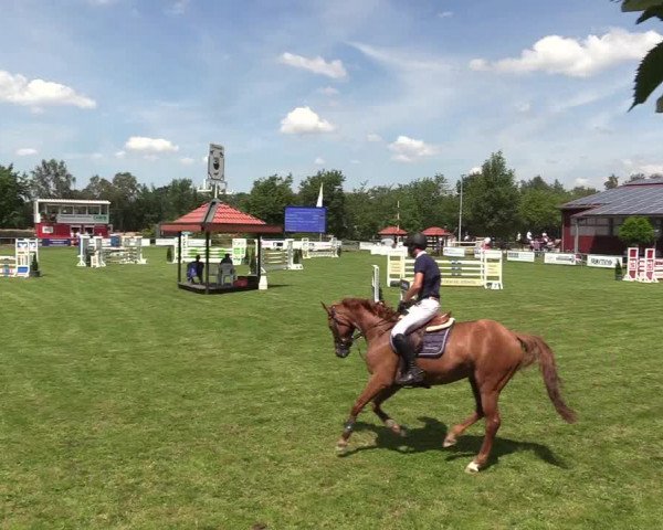 Reitturnier Delbrück-Ostenland 2018