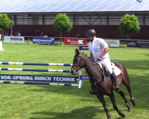 Reitturnier Delbrück-Ostenland 2018