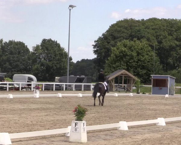 Reitturnier Melle-Ostenfelde 2018